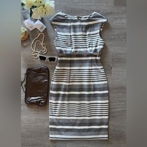 Classic Dana Buchman Gray Striped Dress with Belt